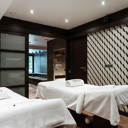 Montmorency&spa Hotel Carcassonne