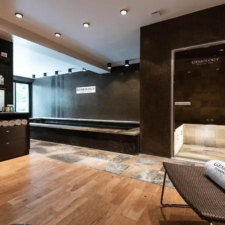 Montmorency&spa 3* Carcassonne