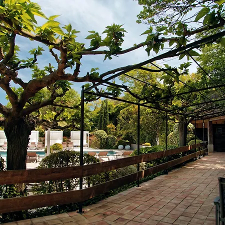 Montmorency & Carcasona