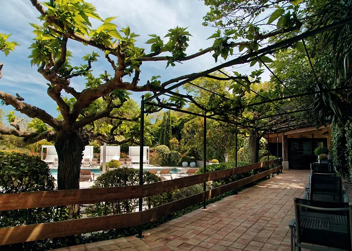 Montmorency & Carcassonne